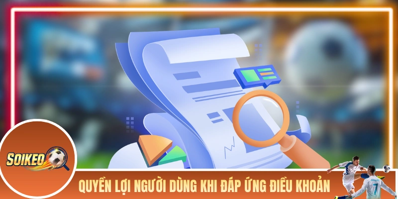 ĐIỀU KHOẢN SỬ DỤNG Quyền lợi của người dùng khi đáp ứng các điều khoản