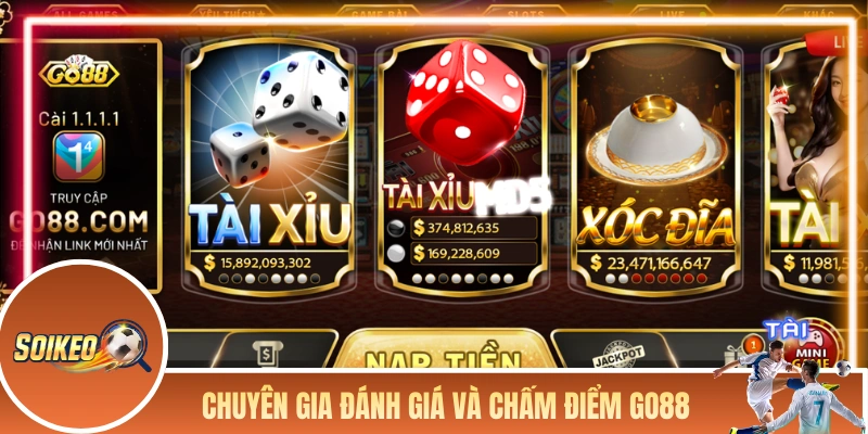 Chuyên gia đánh giá và chấm điểm chất lượng