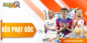 Kèo Phạt Góc - Một Dạng Cược Phụ Bóng Đá Rất Đáng Quan Tâm