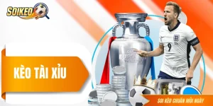 Kèo Tài Xỉu - 5 Phút Hiểu Rõ Toàn Bộ Cơ Chế Đọc Kèo Chuẩn