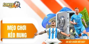 Mẹo Chơi Kèo Rung Của Cao Thủ? Bắt Cược Live Cực Chuẩn