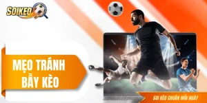 Mẹo Tránh Bẫy Kèo Dành Cho Người Mới Để Tránh Bị “Dắt Mũi”