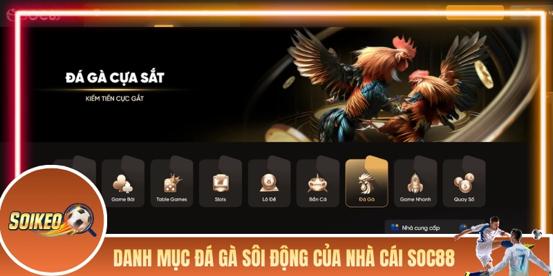 Danh mục đá gà sôi động của nhà cái SOC88