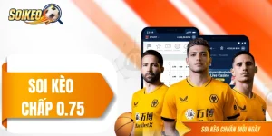 Soi Kèo Chấp 0.75 - Kinh Nghiệm Lụm Lúa Của Người Lâu Năm